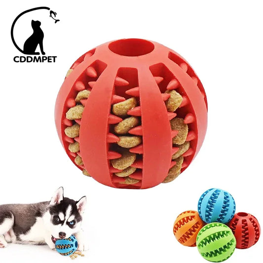 Bola de brinquedo interativo para cães